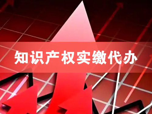 兴化知识产权实缴资本代办